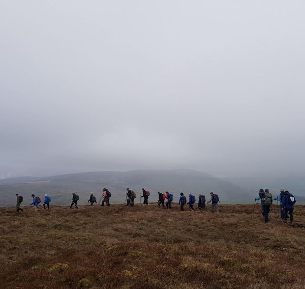 Ramblers walking through heather on a misty day